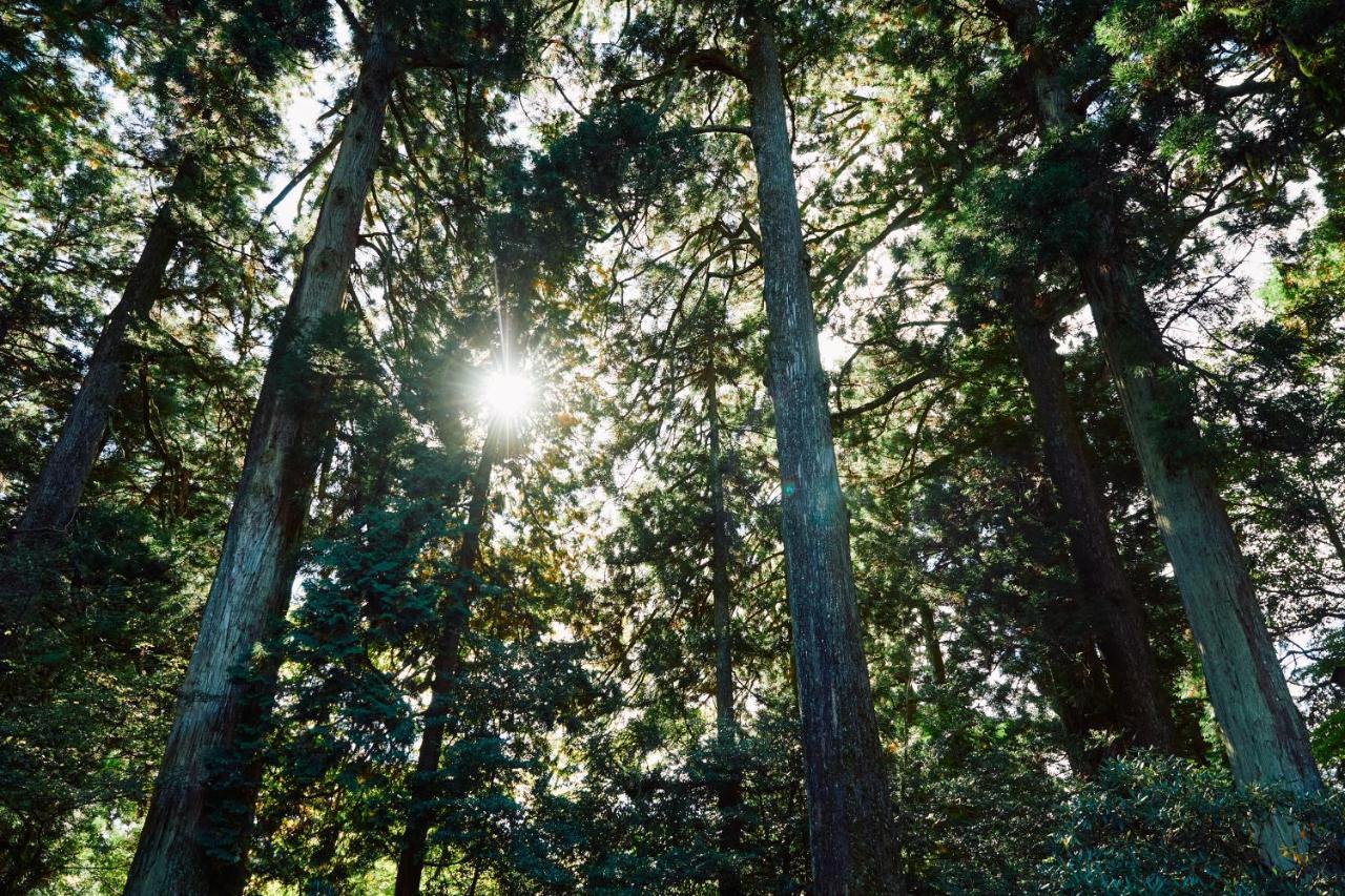 Villa Hakone Kabuto 古民家旅館 150平米 バス停迄一分 準天然温泉 最大12名 Esterno foto